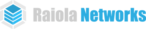 diseno-web-seo-raiola-networks
